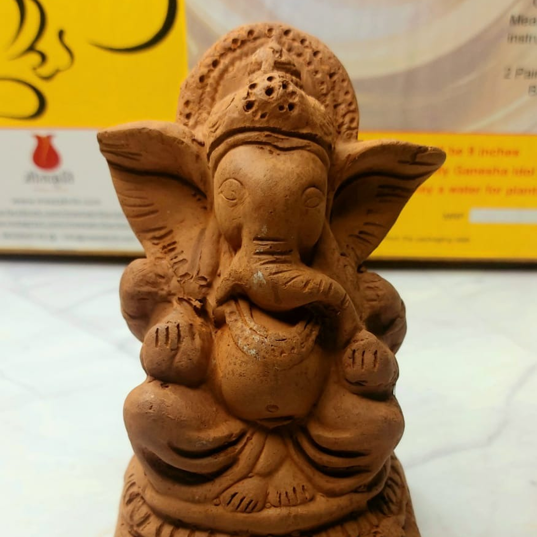 DIY Ganesha Colouring Kit– 6” Idol