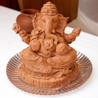 Terracotta Organic Clay